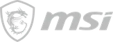 MSI